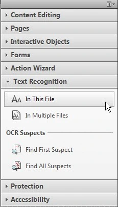 Tool panel at the right side of Acrobat. The Text Recognition tab is open. The first item under this panel, In This File, is highlighted