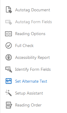 Accessibility tool bar. Set Alternate Text option selected