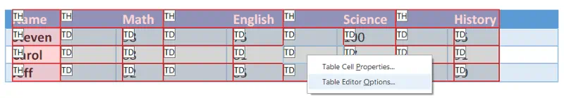 Drop down menu from right clicking on Table. Table Editor Options selected